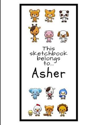 Book cover for Asher Sketchbook