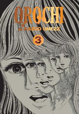 Book cover for Orochi: The Perfect Edition, Vol. 3