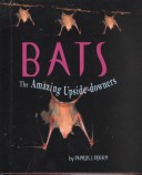 Book cover for Bats