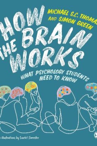 Cover of How the Brain Works