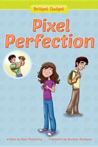 Cover of Pixel Perfection