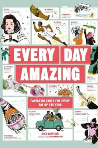 Cover of Every Day Amazing