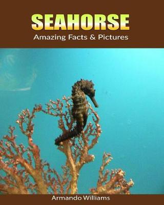 Book cover for SeaHorse