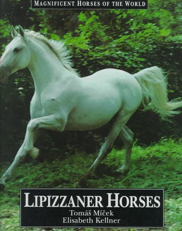 Book cover for Lipizzaner Horses