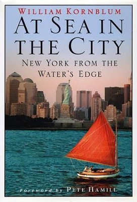 Book cover for At Sea in the City