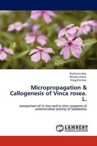 Cover of Micropropagation & Callogenesis of Vinca rosea. L.