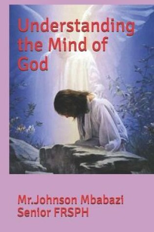 Cover of Understanding the Mind of God