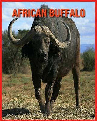 Book cover for African Buffalo