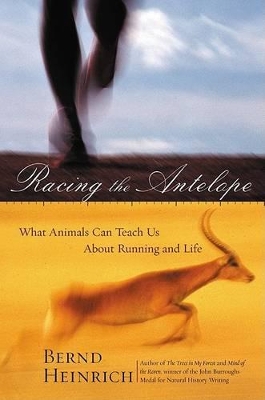 Book cover for Racing the Antelope