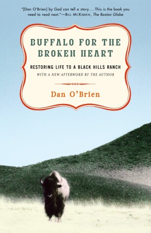 Cover of Buffalo for the Broken Heart