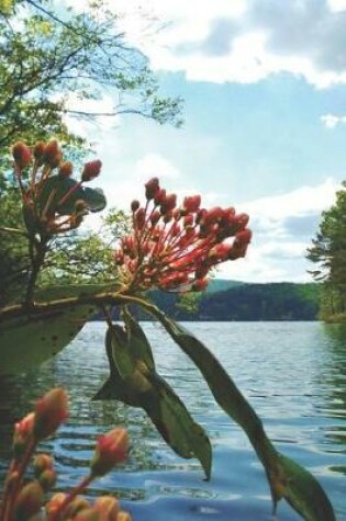 Cover of Water View Pretty Blank Lined Journal for daily thoughts notebook Lovely Lake Arrowhead Photograph