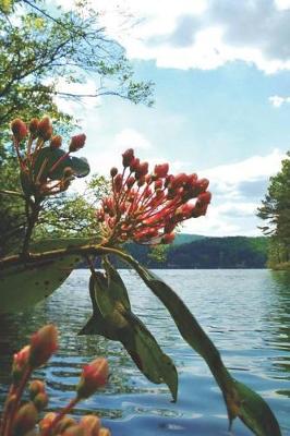 Cover of Water View Pretty Blank Lined Journal for daily thoughts notebook Lovely Lake Arrowhead Photograph