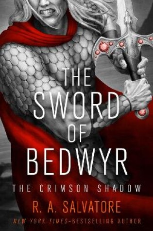 Cover of The Sword of Bedwyr