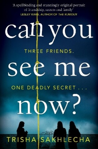 Cover of Can You See Me Now?