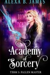 Book cover for Academy of Sorcery
