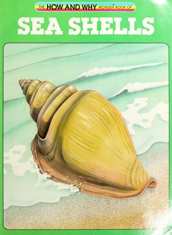 Cover of Hw Seashells