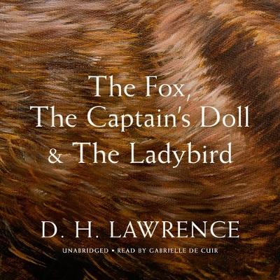 Book cover for The Fox, the Captain's Doll & the Ladybird