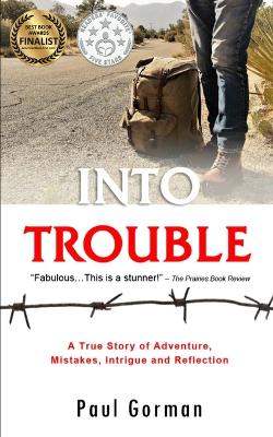 Book cover for Into Trouble