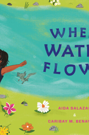 Cover of When Water Flows