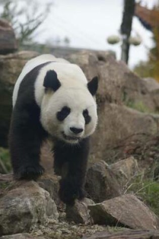 Cover of Panda Bear on a Walk Animal Journal