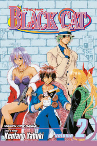 Cover of Black Cat, Vol. 2