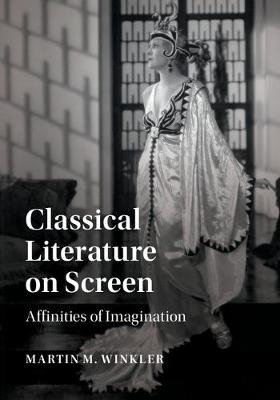 Book cover for Classical Literature on Screen