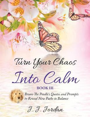 Book cover for Turn Your Chaos Into Calm