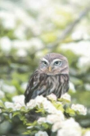 Cover of Little Owl And Tree Blossoms - Lined Notebook with Margins