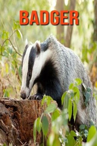 Cover of Badger