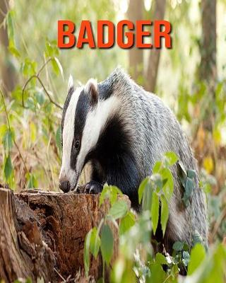 Book cover for Badger