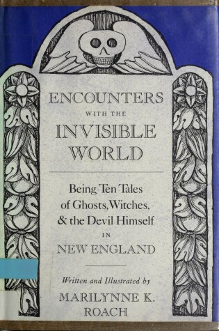 Cover of Encounters with the Invisible World