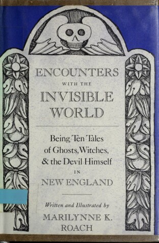 Book cover for Encounters with the Invisible World