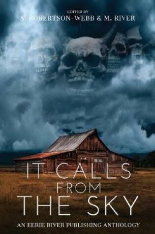 Cover of It Calls From the Sky