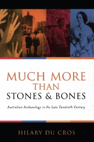 Cover of Much More Than Stones And Bones