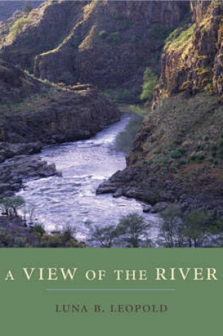 Cover of A View of the River