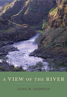 Book cover for A View of the River