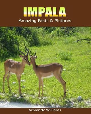 Book cover for Impala