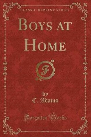 Cover of Boys at Home (Classic Reprint)