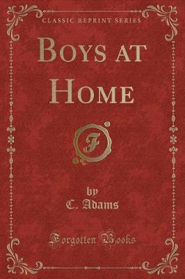 Book cover for Boys at Home (Classic Reprint)