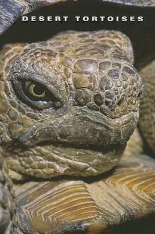 Cover of Desert Tortoises
