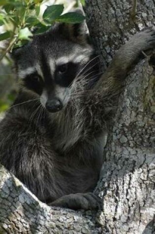 Cover of Cute Raccoon in the Backyard Journal