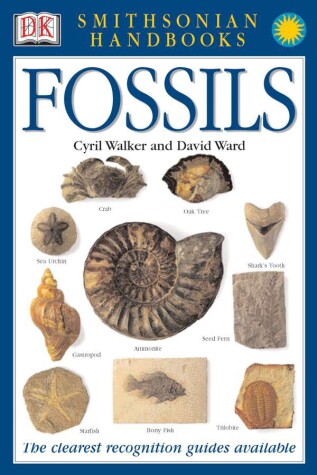 Book cover for Handbooks: Fossils