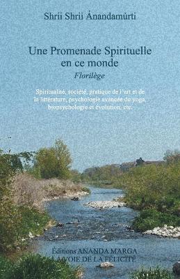 Book cover for Une Promenade spirituelle en ce monde