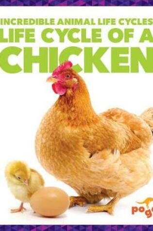 Cover of Life Cycle of a Chicken