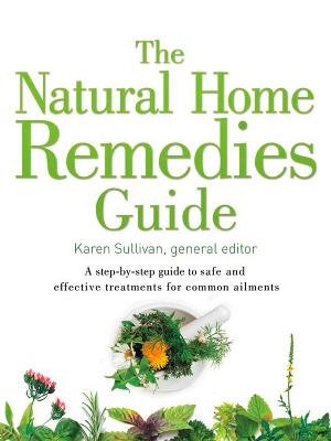 Book cover for The Natural Home Remedies Guide