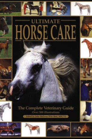 Cover of Ultimate Horse Care