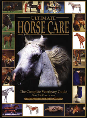 Book cover for Ultimate Horse Care