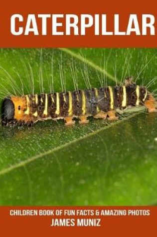 Cover of Caterpillar