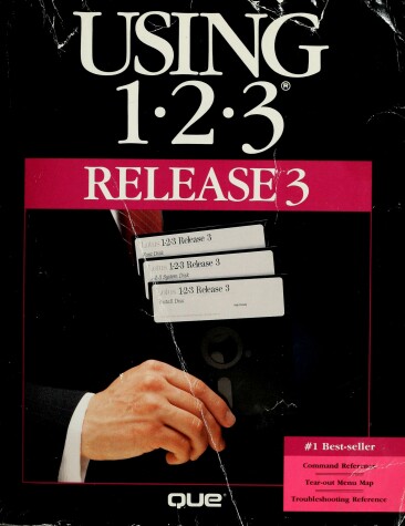 Book cover for Using 1-2-3 Release 3