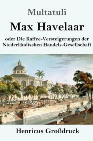 Cover of Max Havelaar (Großdruck)